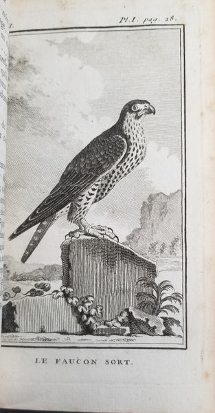 Histoire Naturelle. Des Oiseaux, Tome Second
