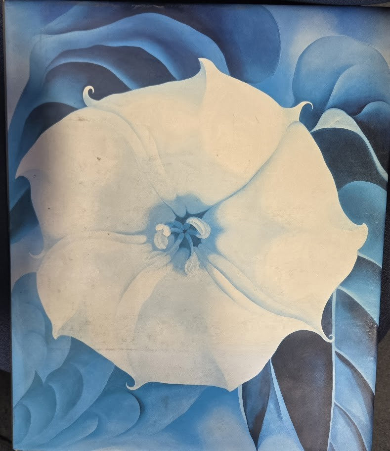 GEORGIA O'KEEFFE : One Hundred Flowers