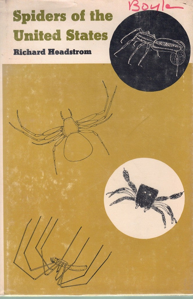 SPIDERS OF THE UNITED STATES