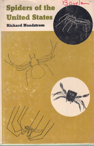 SPIDERS OF THE UNITED STATES