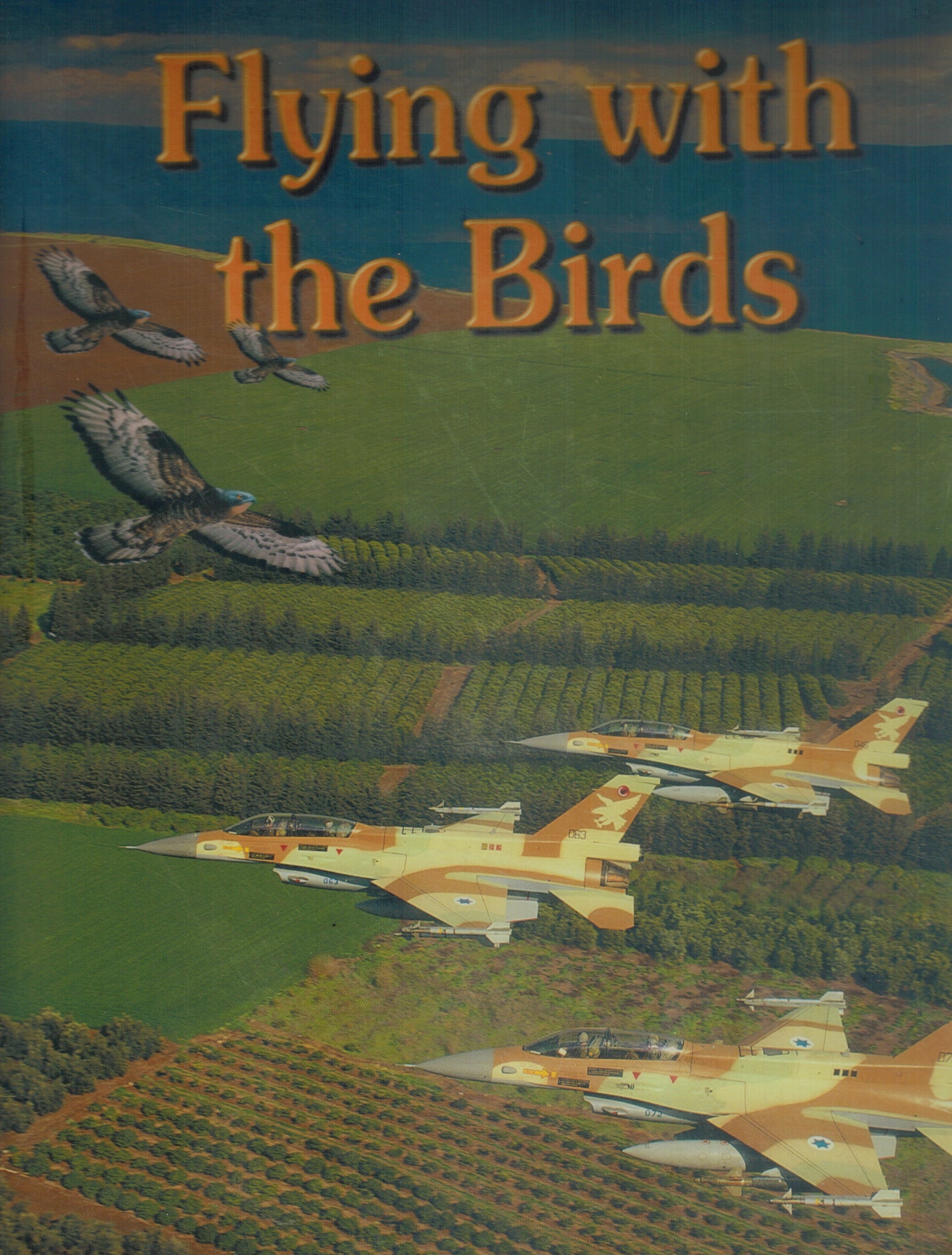 Flying with the Birds