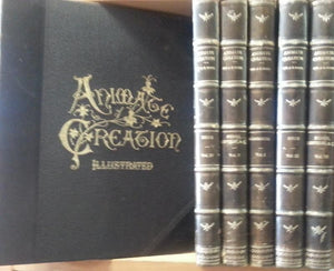 Animate Creation; Popular Edition of "Our Living World," A Natural History  