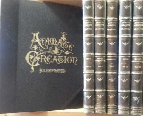 Animate Creation; Popular Edition of "Our Living World," A Natural History  