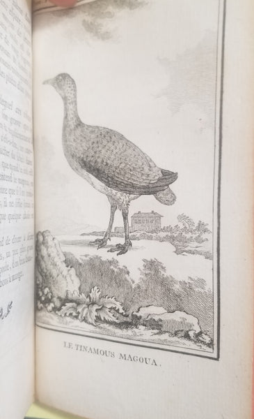 HISTOIRE NATURELLE, GENERALE ET PARTICULIERE, AVEC LA DESCRIPTION DU CABINET DU ROI. TOME HUITIEM