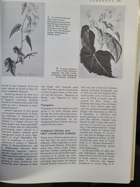 Begonias : The Complete Reference Guide