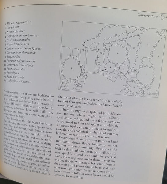 MAKING A WHITE GARDEN