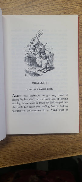 ALICE'S ADVENTURES IN WONDERLAND