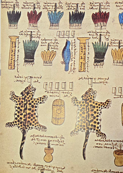 CODEX MENDOZA