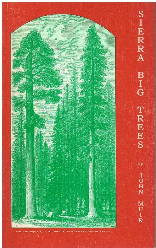 SIERRA BIG TREES