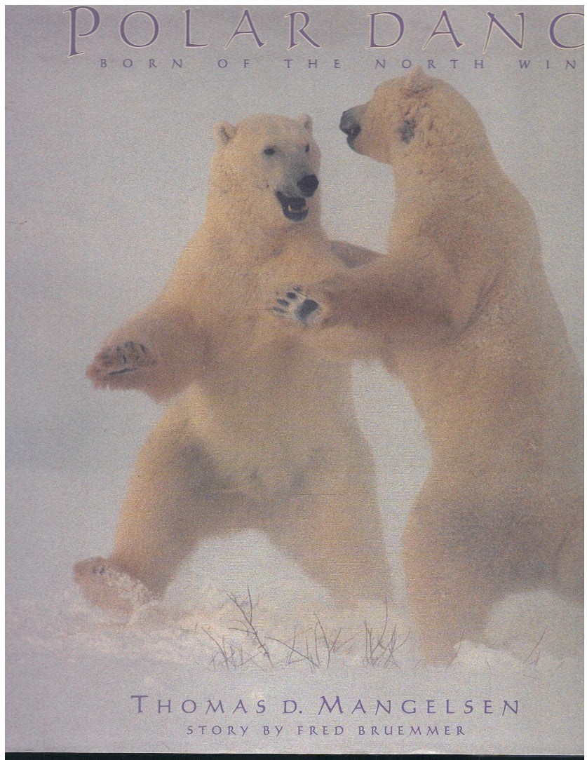 POLAR DANCE