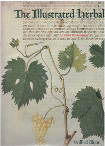 THE ILLUSTRATED HERBAL