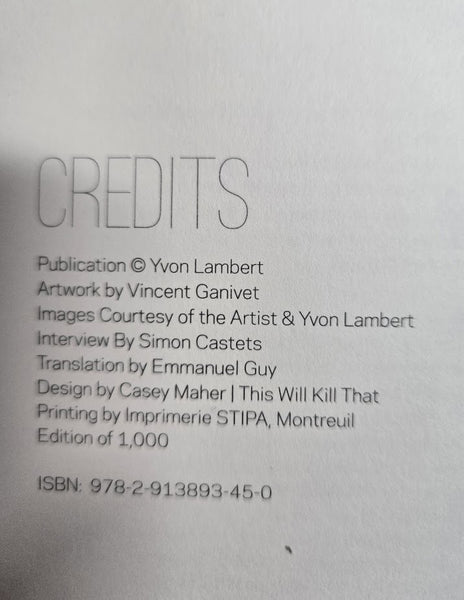 VINCENT GANIVET