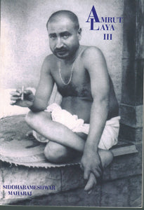 AMRUT LAYA III