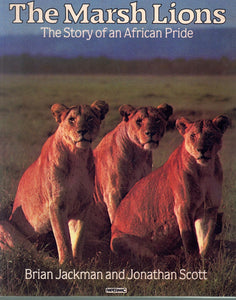 MARSH LIONS