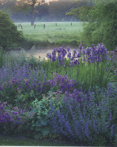 CLIVE NICHOLS ENGLISH GARDENS