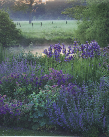 CLIVE NICHOLS ENGLISH GARDENS