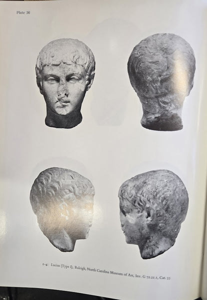THE PORTRAITURE OF GAIUS AND LUCIUS CAESAR