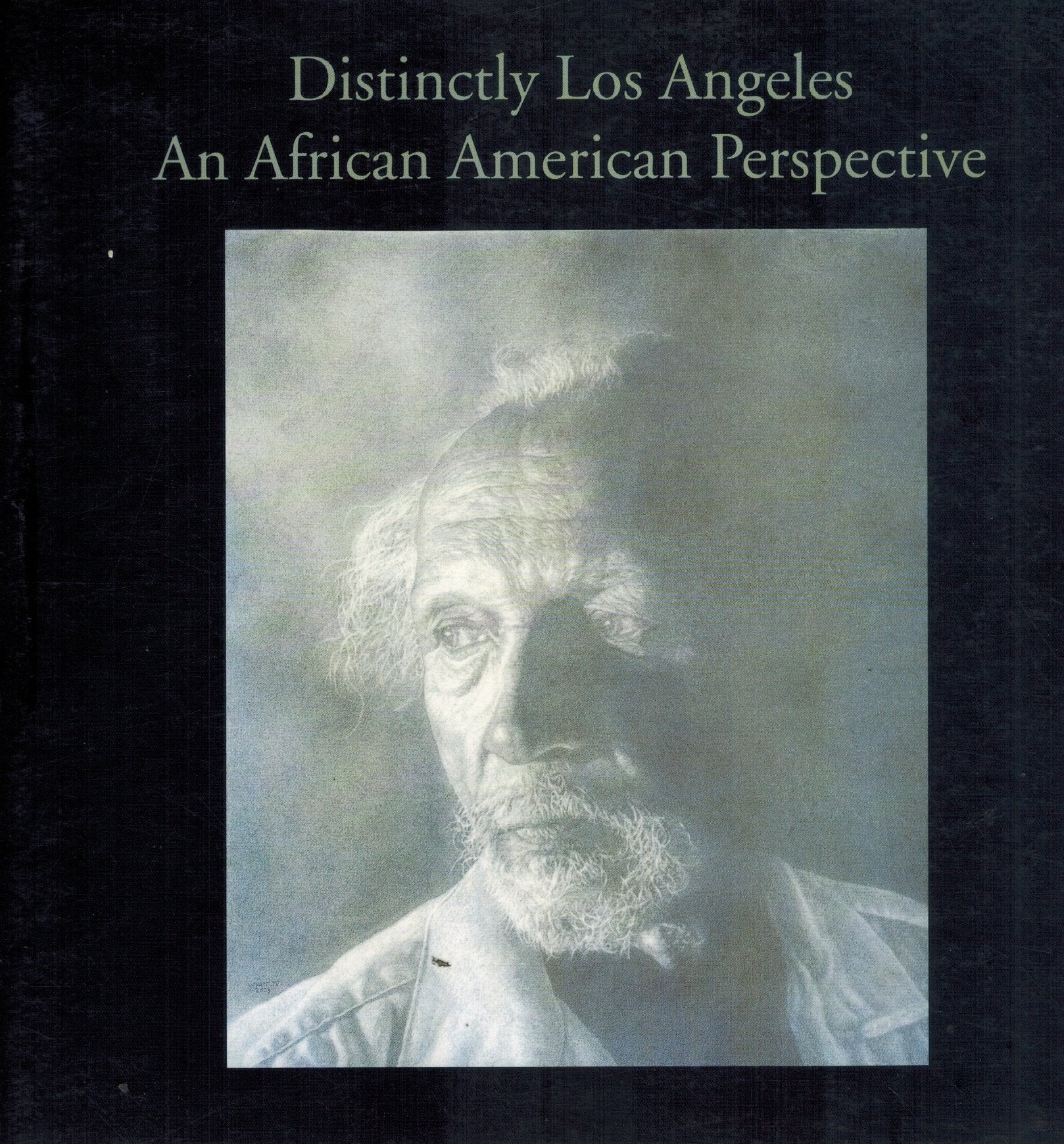 Distinctly Los Angeles  An African American Perspective January 21-March  28, 2009 - books-new