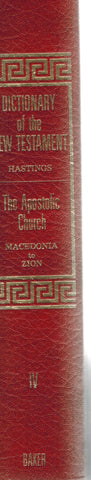 DICTIONARY OF THE APOSTOLIC CHURCH VOLUME II MACEDONIA - ZION WITH INDEXES (DICTIONARY OF THE NEW TESTAMENT IV) 