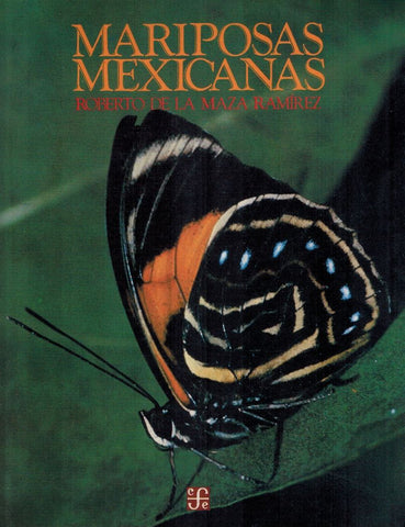 Mariposas mexicanas 