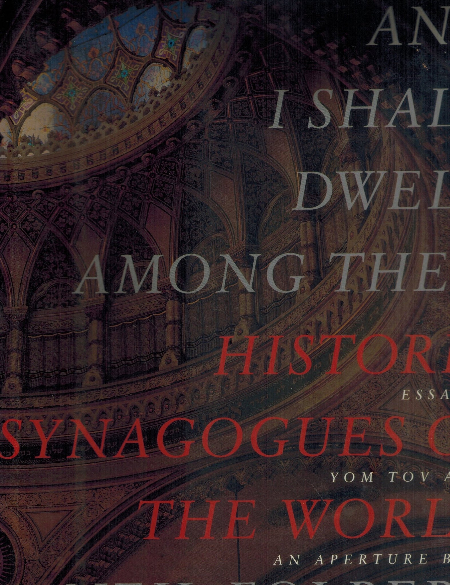 And I Shall Dwell Among Them  Historic Synagogues of the World  by Folberg, Neil & Yom Tov Assis