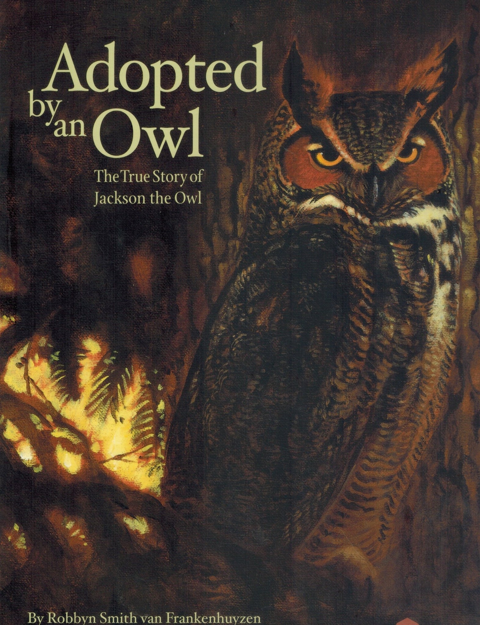 Adopted By An Owl  The True Story of Jackson the Owl