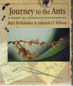 Journey to the Ants  A Story of Scientific Exploration  by Hölldobler, Bert & Edward O. Wilson