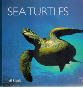 Sea Turtles of the World  by Ripple, Jeff