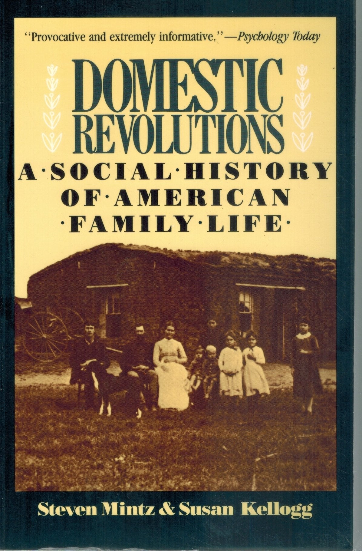 DOMESTIC REVOLUTIONS A Social History of American Family Life  by Mintz, Steven & Susan Kellogg