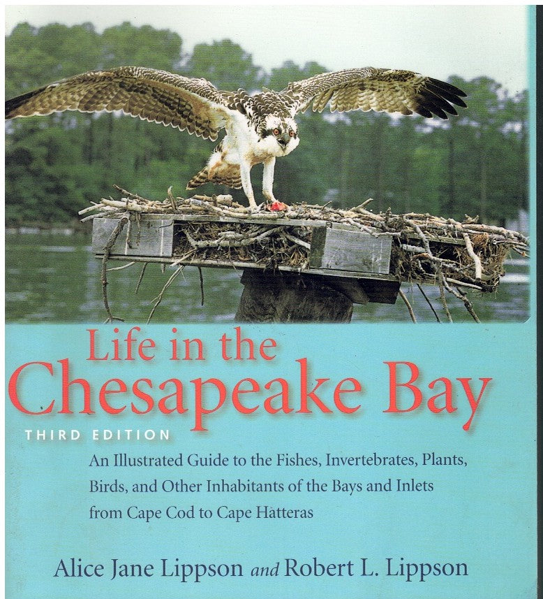 LIFE IN THE CHESAPEAKE BAY