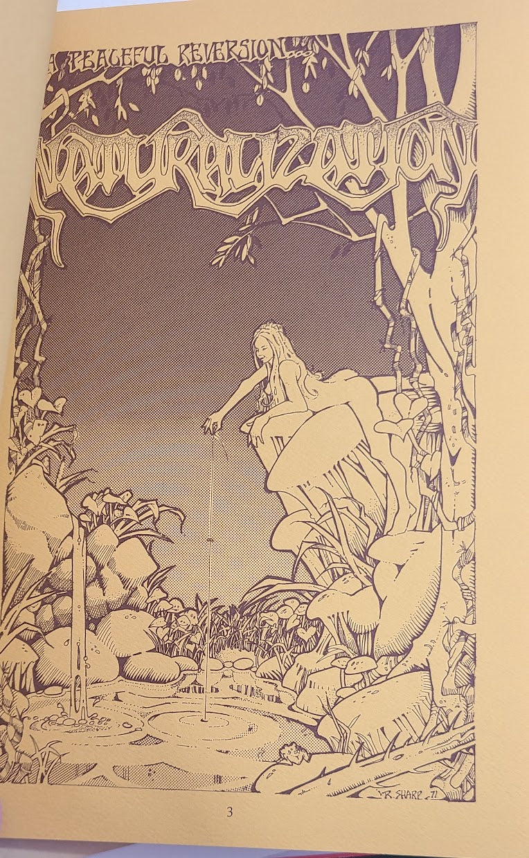 REFLECTIONS ON THE NATURAL POSTER ART