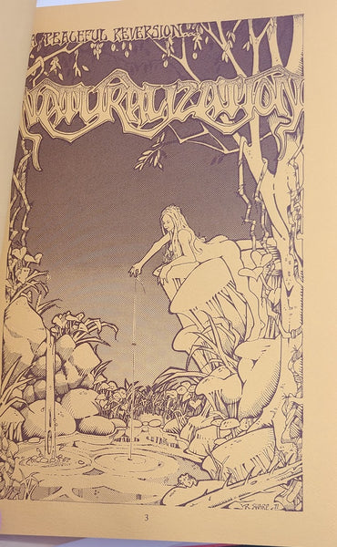 REFLECTIONS ON THE NATURAL POSTER ART