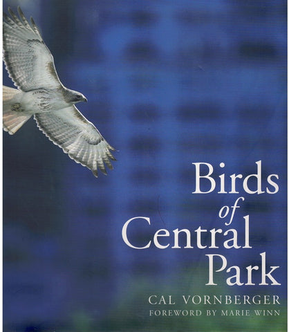 BIRDS OF CENTRAL PARK