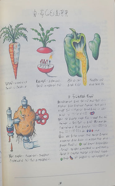 CODEX SERAPHINIANUS